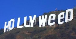 micdotcom: Vandals broke the famous ‘Hollywood’