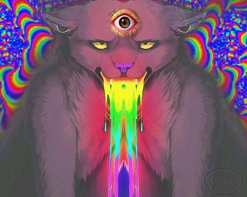 obeytheprophecy:  ▲ obey the prophecy ▲ the door to wonderland