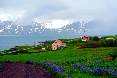 fairytale-europe: Hrísey, Iceland