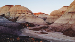 arizonanature:  Painted Desert — Follow Arizona Nature!