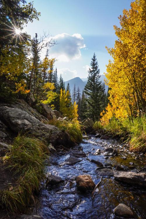amazinglybeautifulphotography: Fall in Rocky Mountain National Park[OC][1080x1616] - Author: adventu
