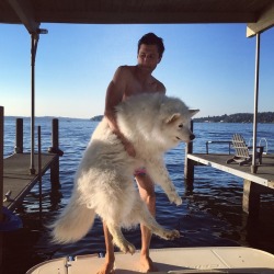 skookumthesamoyed:  Area hero carries scaredy dog over terrifying six-inch gap between the dock and the boat