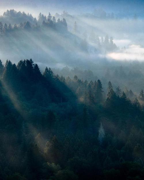 thebeautifuloutdoors - Beautiful light rays illuminating the...