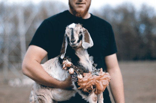 floralls:FARM YARD BUDS_  by Hannah Miles