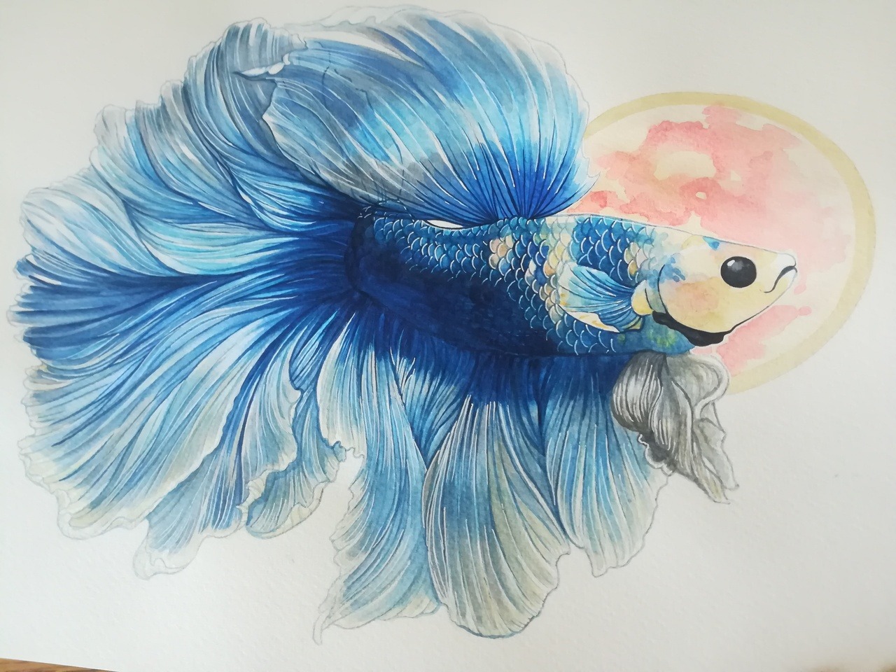 chewybitart:for Elias Buster Fox Thomas Swim in piece pretty little guy. Thank you