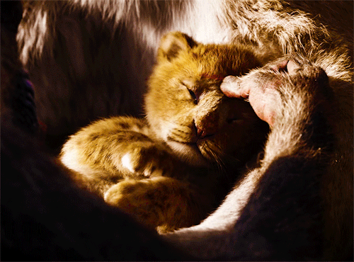 brianelarson:The Lion King (2019)