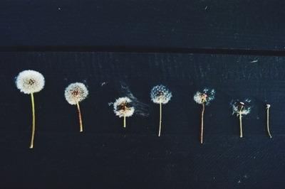hipster tumblr blog