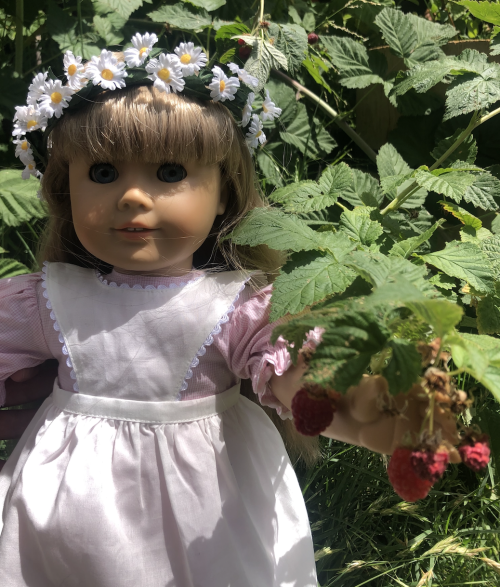 kirsteninthesun:Berry picking with Kirsten! We needed some berries to make the garnish for her cake,