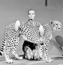 Veruschka and a leopard. Photographed by