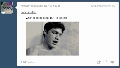  this is my favorite internet phenomenon that i have experienced since i joined tumblr three years ago. 