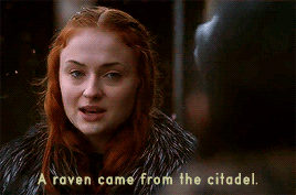 greengableslover: Sansa Stark Meme:   {1/6} Scenes ||   ↳  6x10 The Winds of Winter