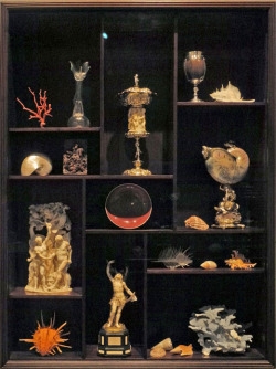 ancient-serpent:  A selection of curiosities