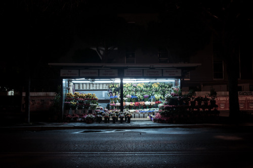 arpeggia:  Paolo Fusco - Fiori 24h Artist’s statement: “Hardly anything is open 24h in Rome: a few bars, a few stores, self service gas stations and flower kiosks, a lot of flower kiosks. You can find them everywhere in the city and they never