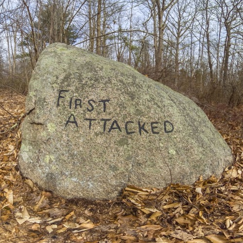 Boulders In Now Abandoned Dogtown, MA. In The 1930s Roger Babson Commissioned Unemployed Stonecutters
