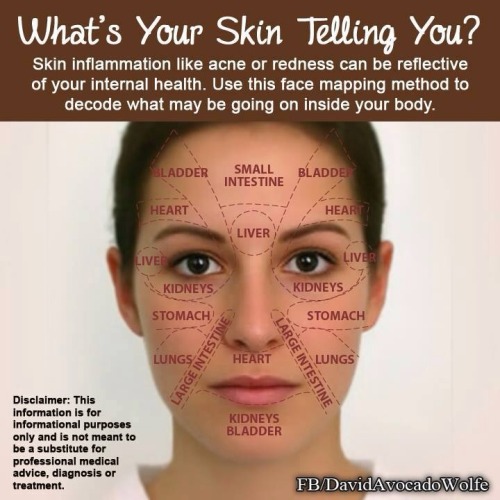 #face mapping on Tumblr