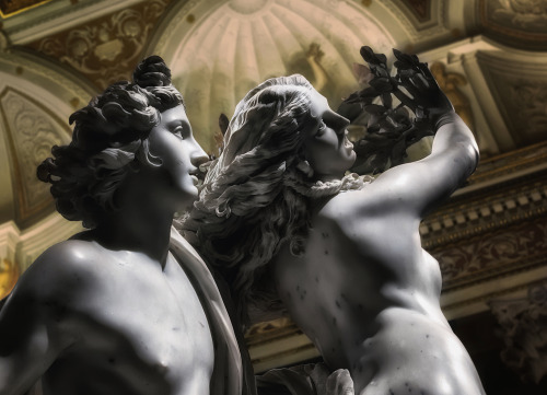 Apollo and Daphne da massimo cuomoTramite Flickr:Gian Lorenzo Bernini, 1622.Borghese Gallery, Rome.