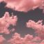 panpsychism