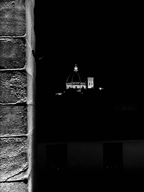 Dome of the Santa Maria del Fiore and Giotto’s Belltower, Florence.