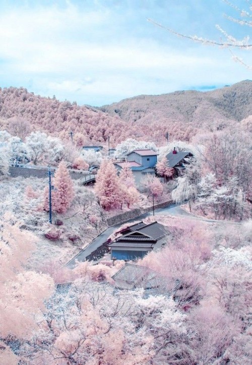 https://o0pepper0o.tumblr.com/post/164969697095