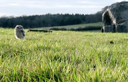 outta my way!  things to do.