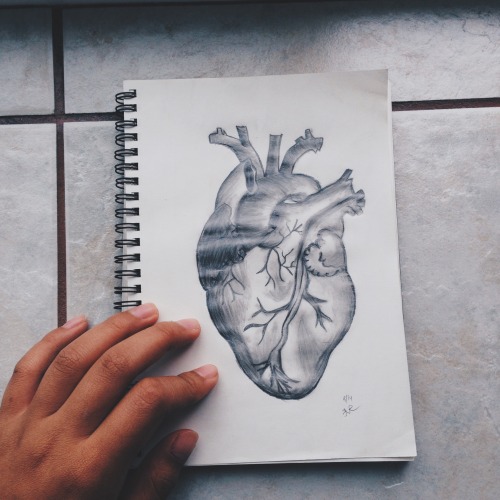 deerie-foxes:  Your love is so cheap, Throw my heart like a paper ball. All crumpled up and wasted, I still fall for you hard.