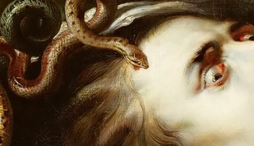 blackpaint20:Peter Paul Rubens, #Medusa (details), c.1618