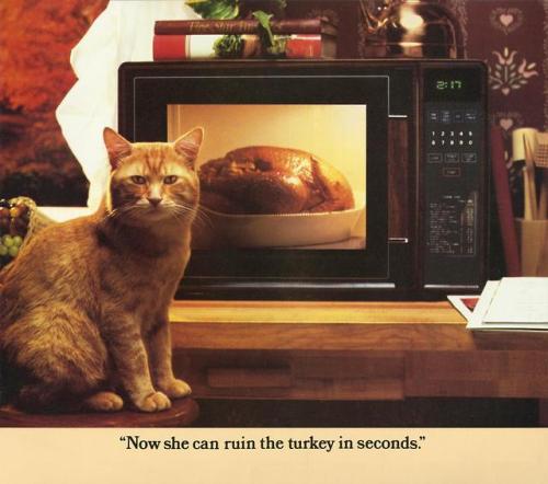 theunimpairedcondition:c86:Morris: A Cat For Our Times, 1986The more things change….