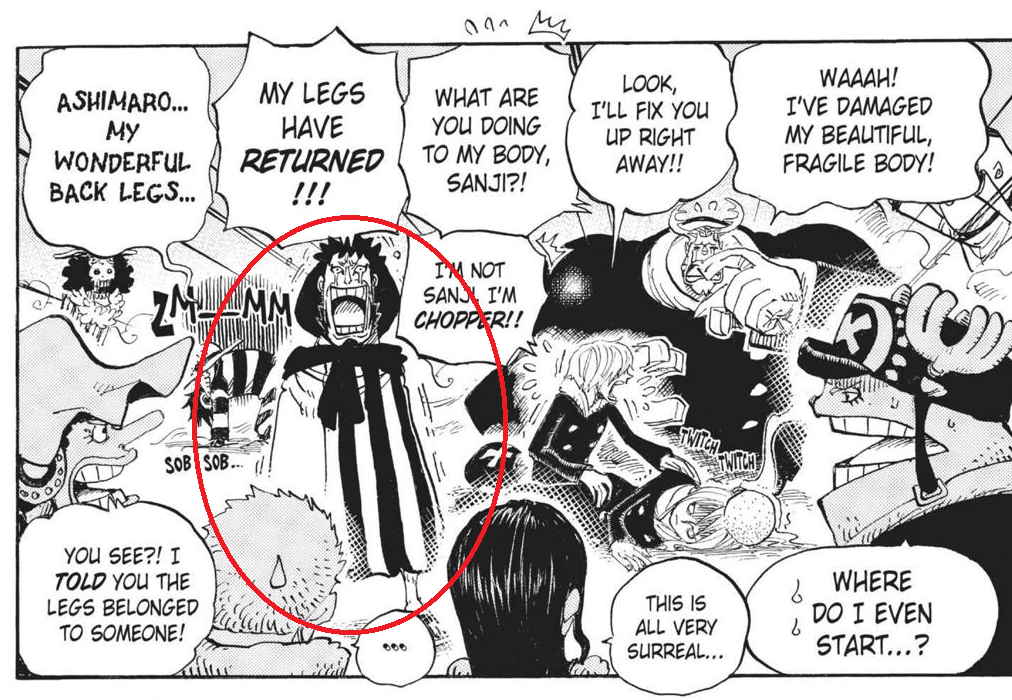 One Piece Chapter 1030: Here's what you need to know