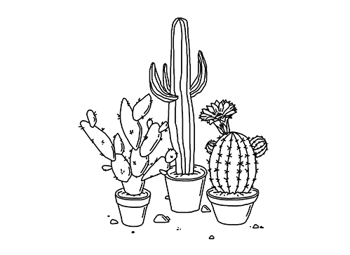 love-personal:cute cacti for your blog porn pictures