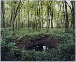 invisiblestories:  Henning Rogge, WWII bomb