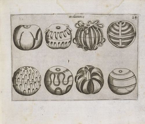 design-is-fine:Oranges, 1639, Unknown artist, etching. Getty Research Institute, Los Angeles. Exhibi