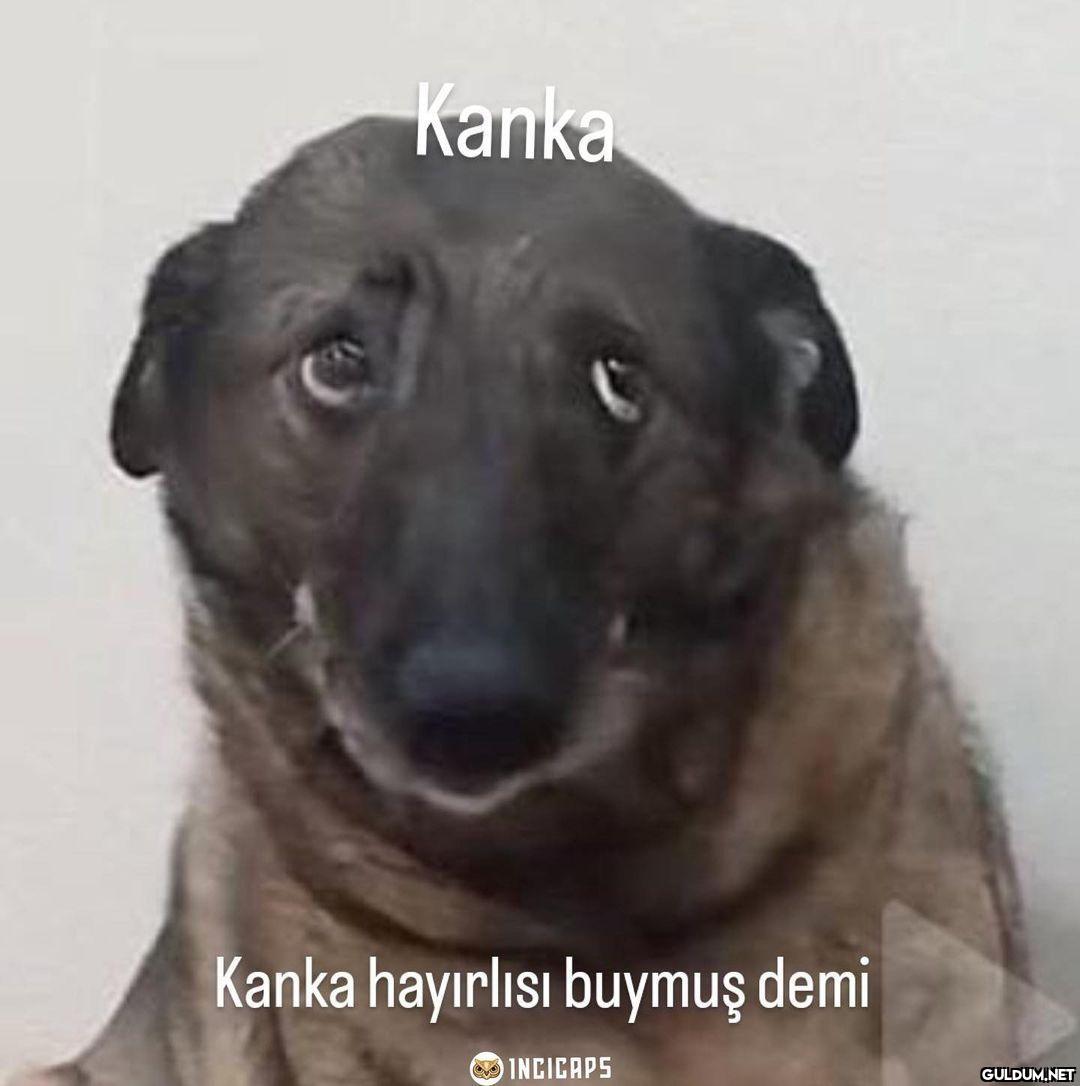 Kanka Kanka hayırlısı...