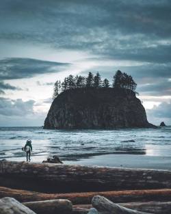 theadventurouslife4us:  Driftwood paradise | 📸 theolator  La Push , WA some great pictures to be taken out there