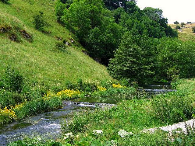 englishsnow:   UGArdener 
