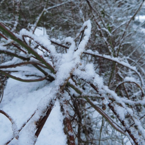 Winterbilder II | Winter photos II