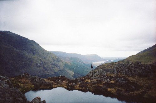 definitelydope:  (by Bazzerio)