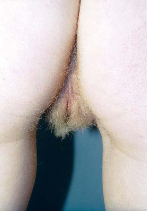bareshavedisboring:  bare shaved is boring: SOME HAIR DOWN THERE LOOKS SO MUCH BETTER