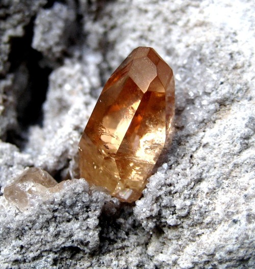 ifuckingloveminerals:  Topaz Thomas Range, Juab Co., Utah, USA