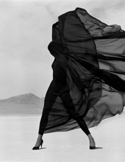 Houkgallery:  Herb Ritts (American, 1952-2002)Versace - Veiled Dress, El Mirage,