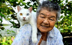 vsuc:  thecatdogblog:  Nine years ago, Japanese photographer Miyoko Ihara began snapping pictures of the relationship between her grandmother and her odd-eyed white cat. Miyoko’s grandma Misao found the abandoned cat in a shed on her land and the pair