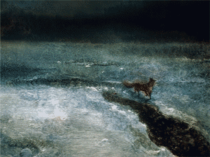 tumblr_nb8406V0EF1sdmru8o1_400.gifv