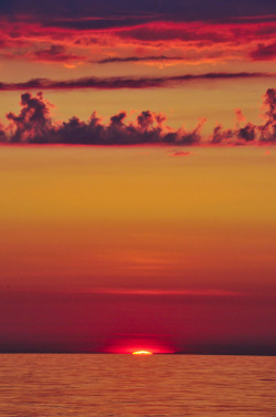 xxx tumblr