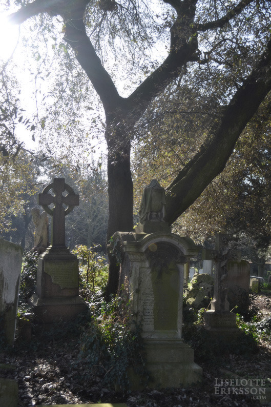 liselotte-e:  Brompton Cemetery, London, UK. 