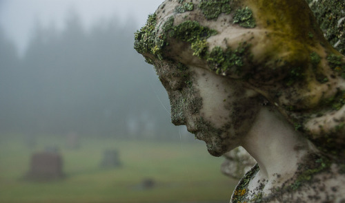 requiem-on-water: Mt. Calvary Catholic Cemetery by Patrick Treadway