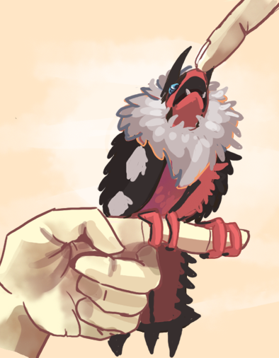 scoutacris:    i want to draw yveltal forever 