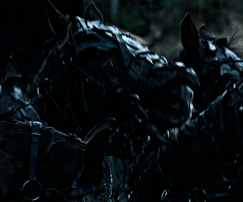 THE LORD OF THE RINGS: THE FELLOWSHIP OF THE RING 2001 | Dir. Peter Jackson 
