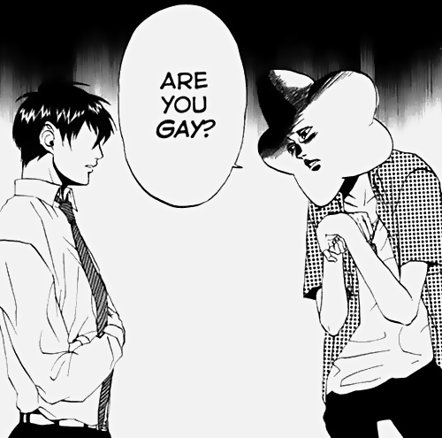 t-o-k-i-d-o-k-i:  Are you gay? 