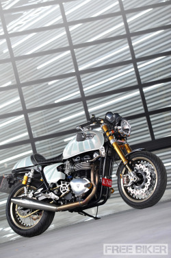 ducktail964:  Triumph Bonneville