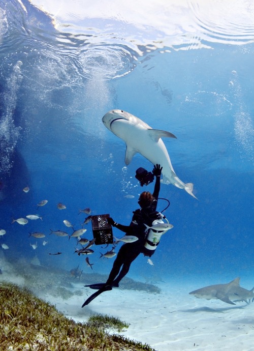 thelovelyseas: 2006 Bahamas by John Scarlett