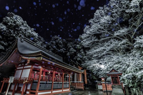 Silent snow at Fushimi Inari Taisha, serene moment captured by @v0_0v______mk